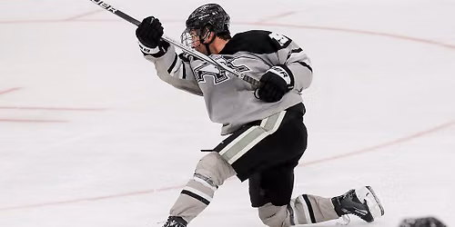 Union College Garnet Chargers Hockey vs. Providence Friars