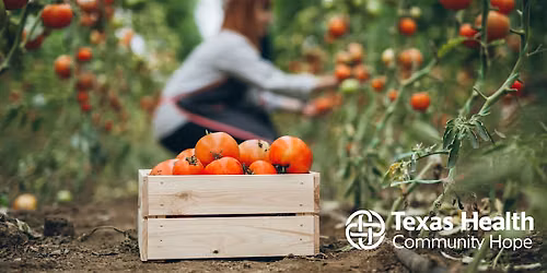 Harvest to Market - Locally Grown Experience
