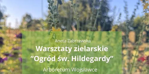 Warsztaty zielarskie \u201eOgr\u00f3d \u015bw. Hildegardy\u201d