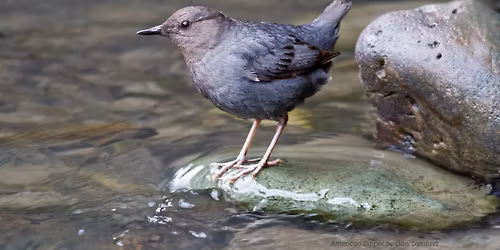 \u201cThrough the Seasons: Elwha River\u2014End of Winter\u201d field trip