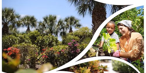 Island Roots: A Native Gardening Series