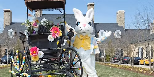 Easter Bunny Experience