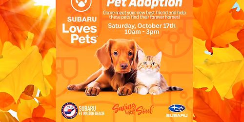 Subaru Loves Pets 6th Annual Adoption Event 