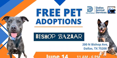 Bishop Bazaar Dog Adoption Event