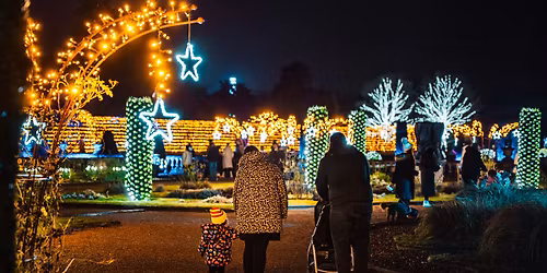 Wollaton Winter Light Trail 2025