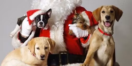 Let’s get Cozy with Santa 🎅🏽 