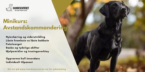 Minikurs i "Avstandskommandering" (ledige plasser)
