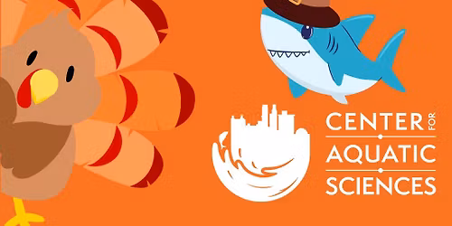 Overnight at the Adventure Aquarium