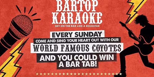 BARTOP KARAOKE