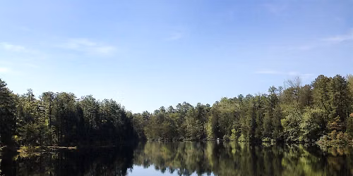 Wildlife of Pakim Pond