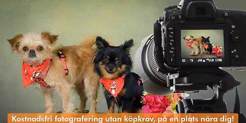 Kostnadsfri djurfotografering - Arken Zoo Uppsala Gr\u00e4nbystaden