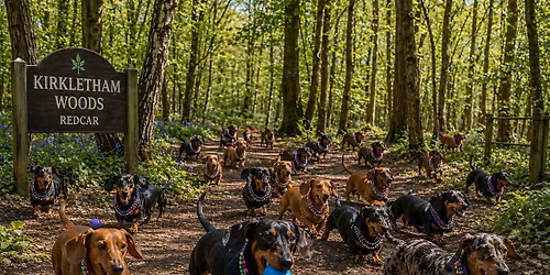 Kirkletham Woods Sausage Walk ( \nPlantation Rd, Kirkleatham, Redcar TS10 4AS\n\n)