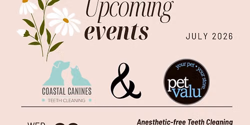 Anesthetic-free Teeth Cleaning for Pets - Sechelt & Gibsons