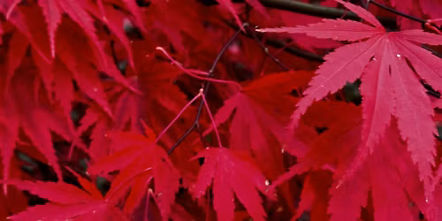 Make Sense : Autumn sensory experience