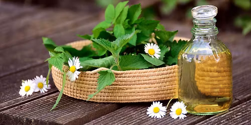 Conf\u00e9rence : La trousse m\u00e9dicinale de secours \u00e0 base de plantes m\u00e9dicinales