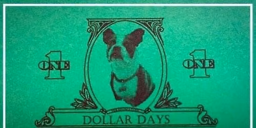 Dollar Days DeFrance on Eglin 