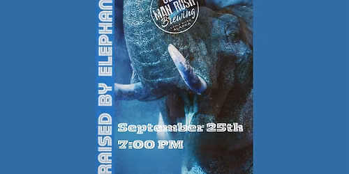 Raised by Elephants at Odd Man Rush Brewing