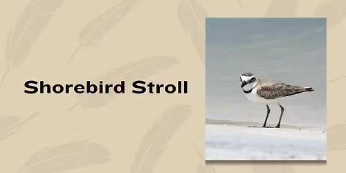 Shorebird Stroll