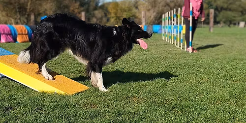 Rozl\u00fa\u010dka s letom 2026