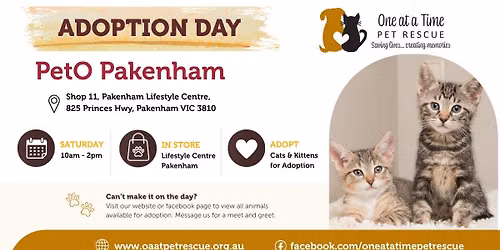 Adoption Day 