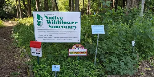 Irvine Park Wildflower Sanctuary Garden Tour