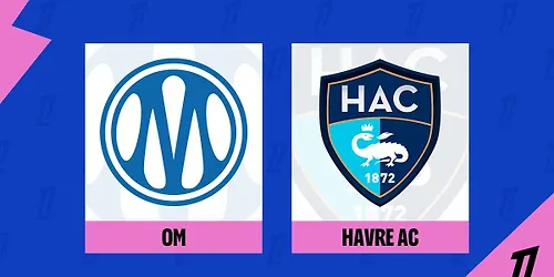 Marseille vs Le Havre at Stade Velodrome (Orange Velodrome) Marseilles