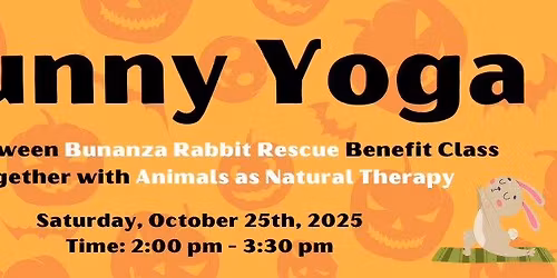 Bunny Yoga