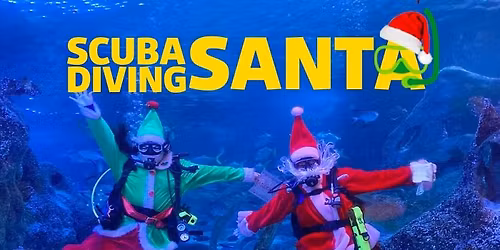 Scuba Diving Santa at SEA LIFE Grapevine