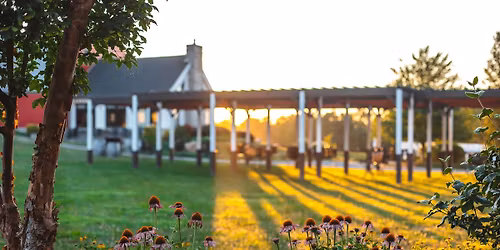 November 22 \u2014 Fall Harvest Market with Live Music & Paella