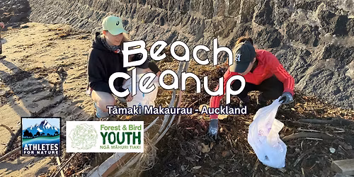 Beach Cleanup - Mission Bay, Auckland