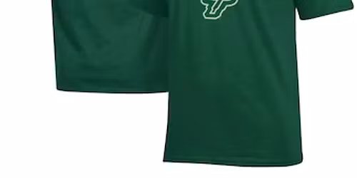 Florida A&M Rattlers at South Florida Bulls Mens Basketball at Yuengling Center