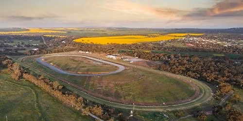Melbourne Cup Luncheon