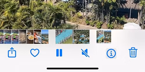 Basketball in Paradise