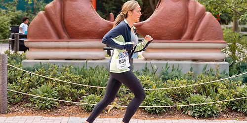 Dart Frog Dash presented by Buckeye Broadband