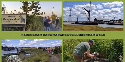 Faversham Oare Marshes to Luddenham Walk