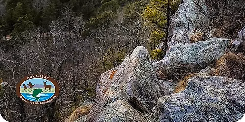 Jeff Williams: Making the Most of Arkansas' Wildlife Management Areas (WMAs)
