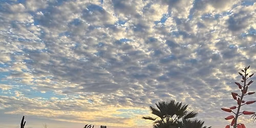 Ribbon Cutting and Grand Opening of The Garden at Dinosaur Caves