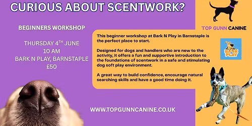 Introduction to Scentwork at Bark N Play, Barnstaple