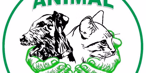 Wags to Riches: Animal Care Fundraising Day \ud83d\udc3e