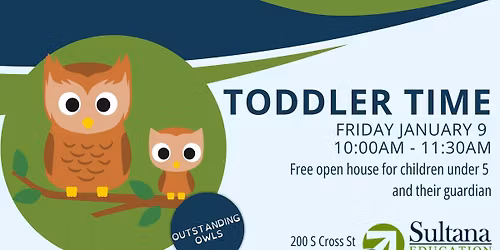 Toddler Time - Outstanding Owls