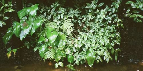 Copper Metalwork: Natural Forging with Adriana Velez Villase\u00f1or