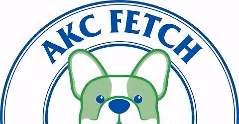 AKC Fetch Novice & Intermediate Trialing
