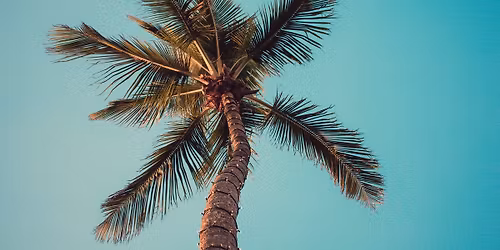 Caribbean Garden Party!