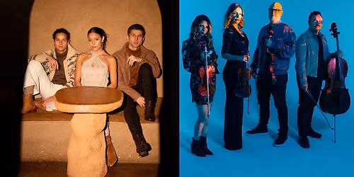 Vitamin String Quartet & Girl Named Tom