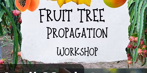 Fruit Tree Propagation