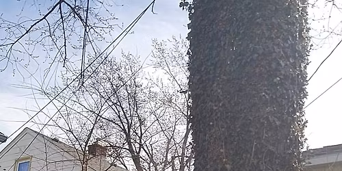 Yoga Class and a Glass