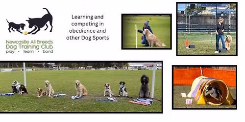 Obedience Rally & Tricks Winter Trial Day 2 NO SUNDAY TRAINING NOW OPEN