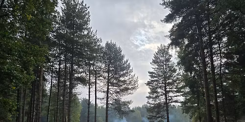 Lindesige S\u00e6weard Monthly Training \/ Get-Together