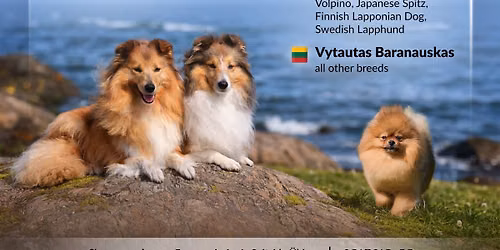 FCI I & V GROUP SHOW, SPECIALITY FOR SHETLAND SHEEPDOG AND SPECIALITY FOR GERMAN SPITZ 