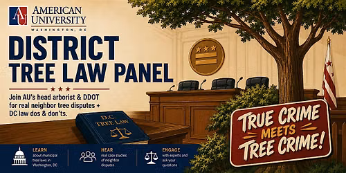 District Tree Law Panel